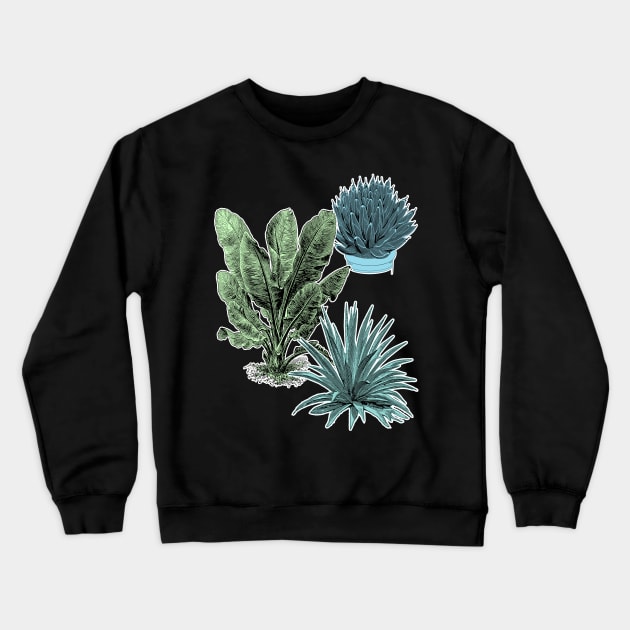 Tropical Plants | Succulent Banana Leaves Crewneck Sweatshirt by encycloart